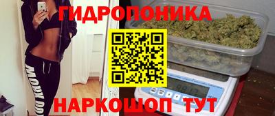 молекула духа Бузулук