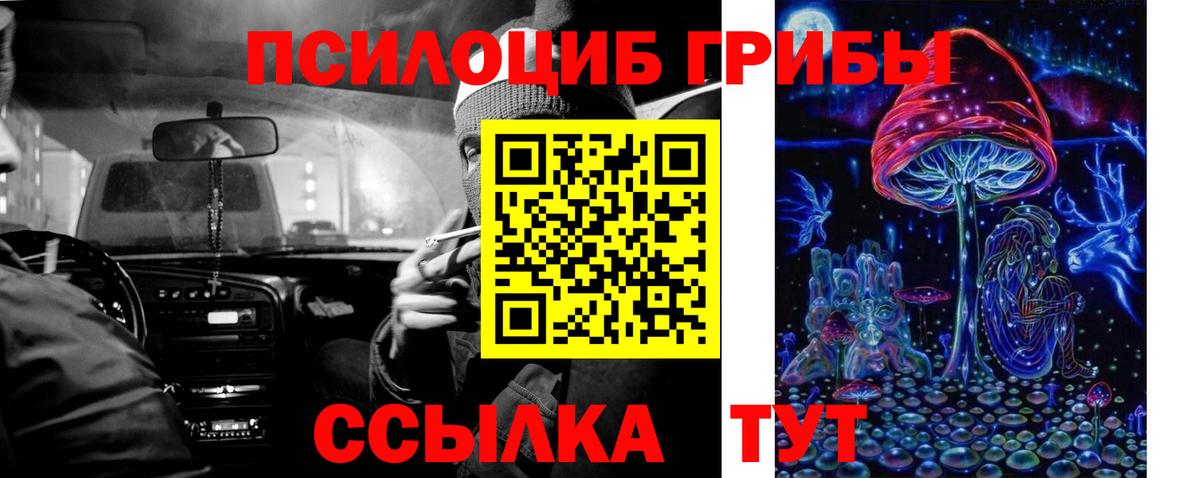 Галлюциногенные грибы GOLDEN TEACHER  Вход с VPN  Новокузнецк 