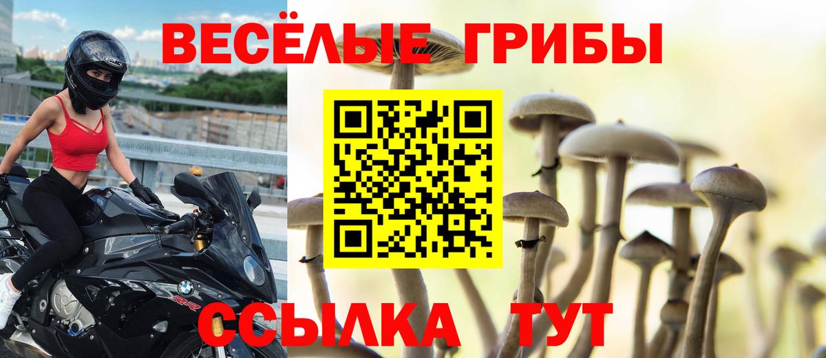 Псилоцибиновые грибы ЛСД Новокузнецк